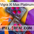 Vigra Xl Max Platinum 15